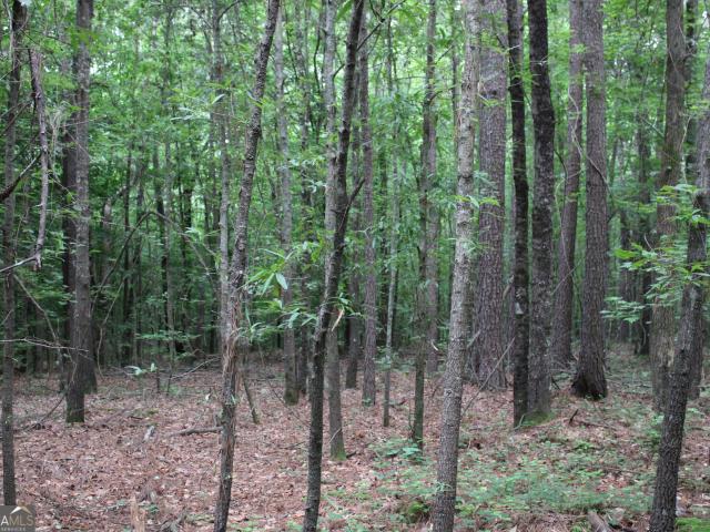 Land for sale in Hull, Georgia