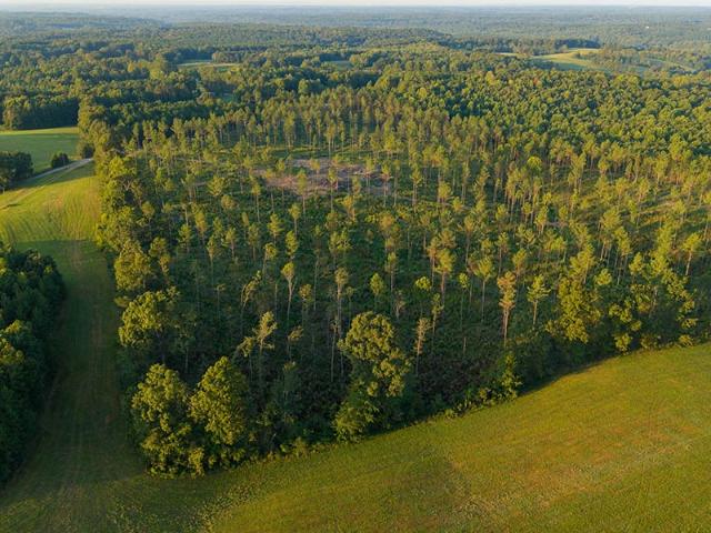 Land for sale in Middle Tennessee, Tennessee