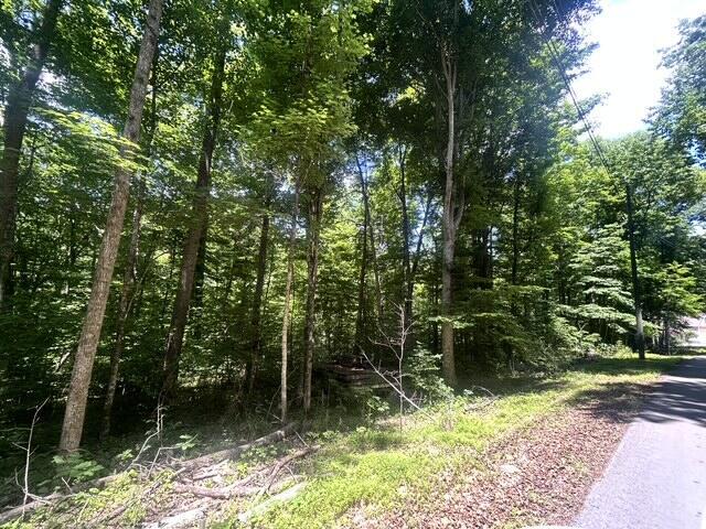 Land for sale in Whitley City, Kentucky