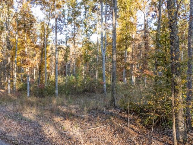 Land for sale in Tennessee