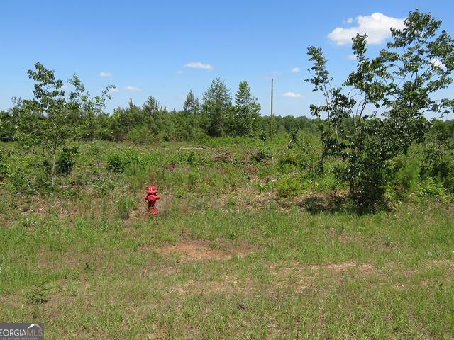 Land for sale in Schley, Georgia
