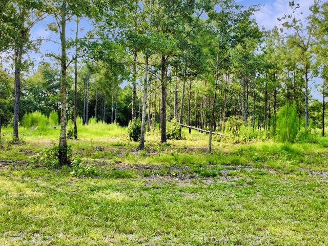 Land for sale in Saint George, South Carolina