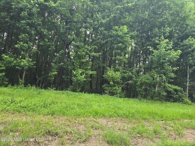 Land for sale in Tate, Mississippi