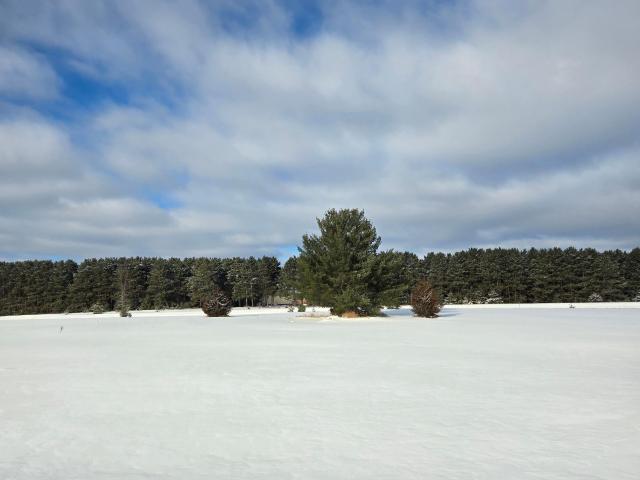 Land for sale in Morrison, Minnesota