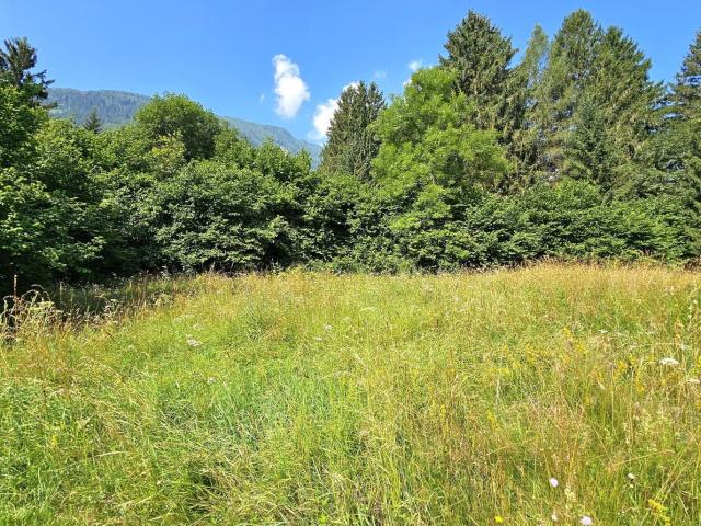 Grundstück kaufen in Penk, Kärnten