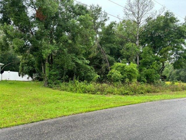 Land for sale in Ocklawaha, Florida