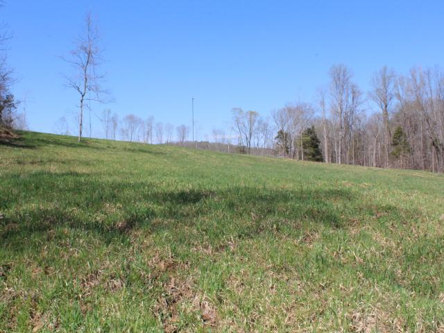 Land for sale in Tennessee