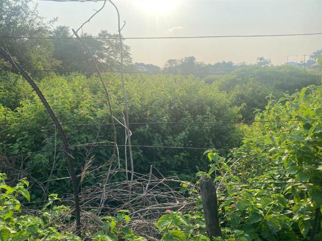 Farm for sale in Waterkloof, Gauteng
