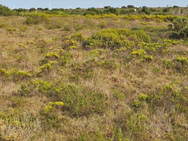 Farm for sale in Cape St Francis, Eastern Cape
