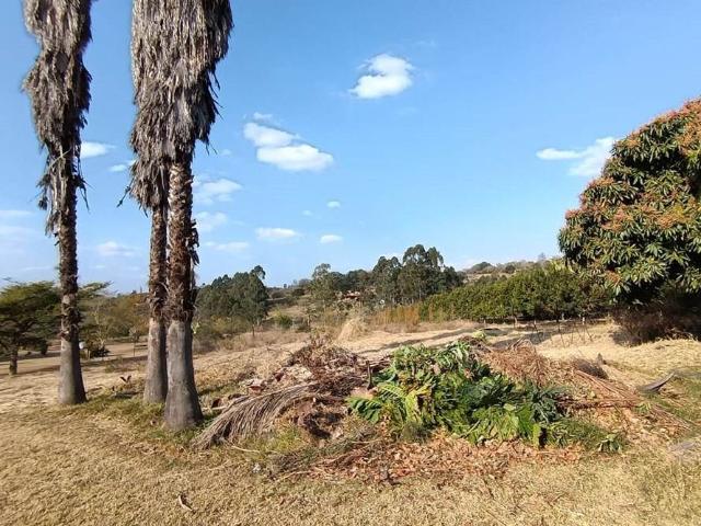 Farm for sale in Ehlanzeni, Mpumalanga
