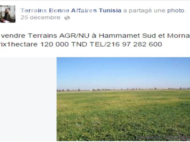 Terrain vente