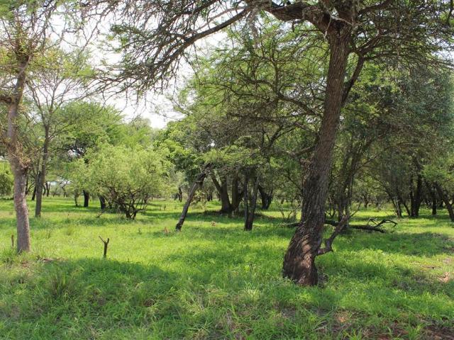 Land for sale in Ehlanzeni, Mpumalanga