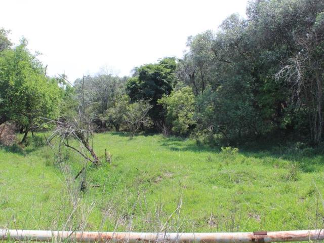 Land for sale in Ehlanzeni, Mpumalanga