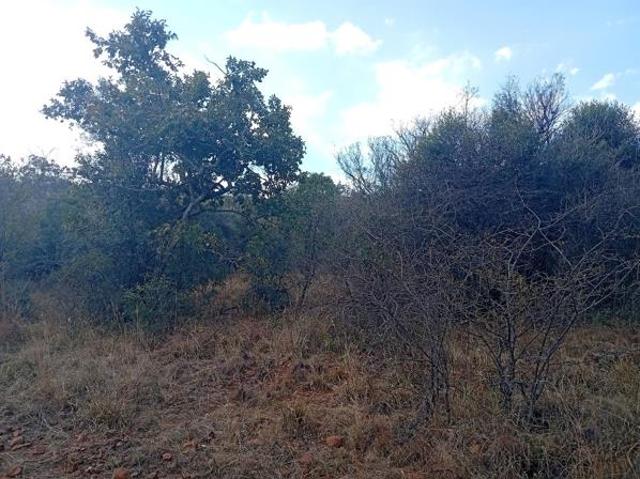 Land for sale in Limpopo
