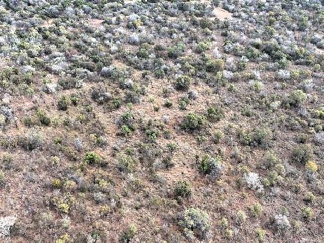 Land for sale in Limpopo