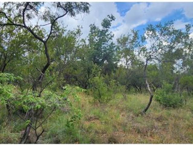 Land for sale in Limpopo