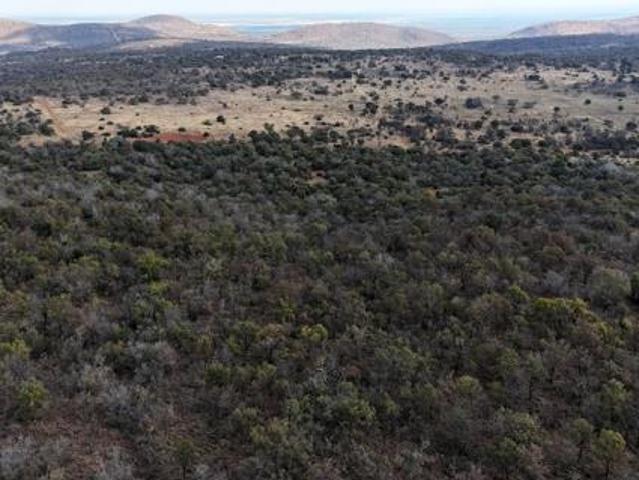 Land for sale in Limpopo
