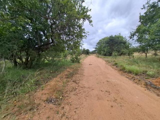 Land for sale in Limpopo