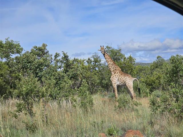 Land for sale in Limpopo