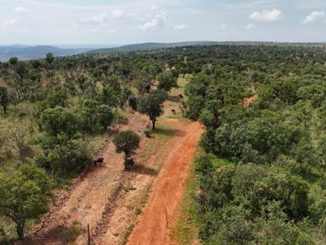 Land for sale in Limpopo