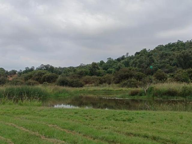 Land for sale in 57 Waterberg, Lephalale Local Municipality