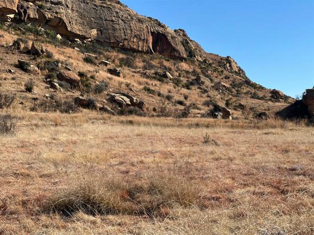 Land for sale in Rosendal, Free State