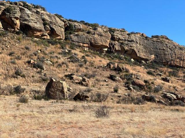 Land for sale in Rosendal, Free State