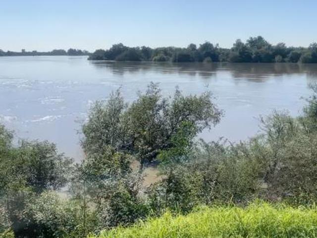 Land for sale in Lejweleputswa, Free State
