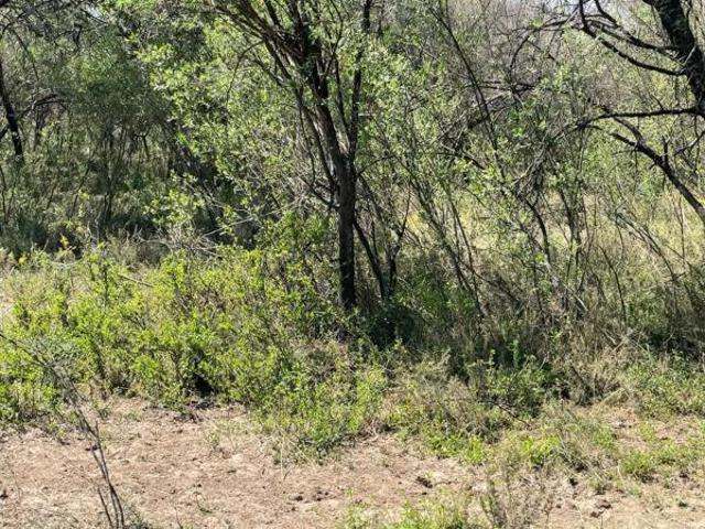 Land for sale in Lejweleputswa, Free State