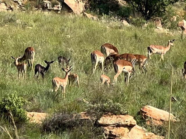 Land for sale in Waterkloof, Gauteng