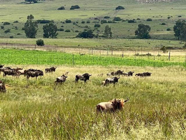 Land for sale in Waterkloof, Gauteng