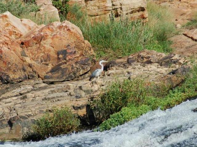 Land for sale in Waterkloof, Gauteng