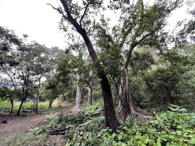 Land for sale in Greater Tubatse Municipality, Limpopo