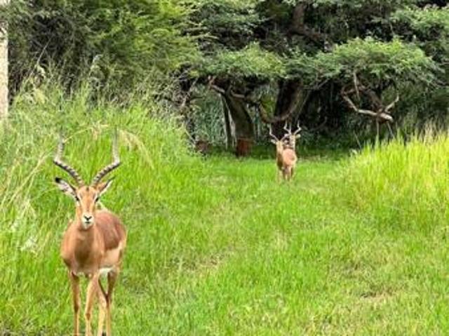 Land for sale in Greater Tubatse Municipality, Limpopo