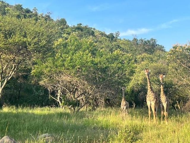 Land for sale in Greater Tubatse Municipality, Limpopo