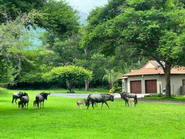 Land for sale in Greater Tubatse Municipality, Limpopo