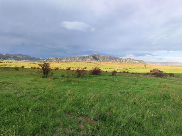 Land for sale in Rosendal, Free State