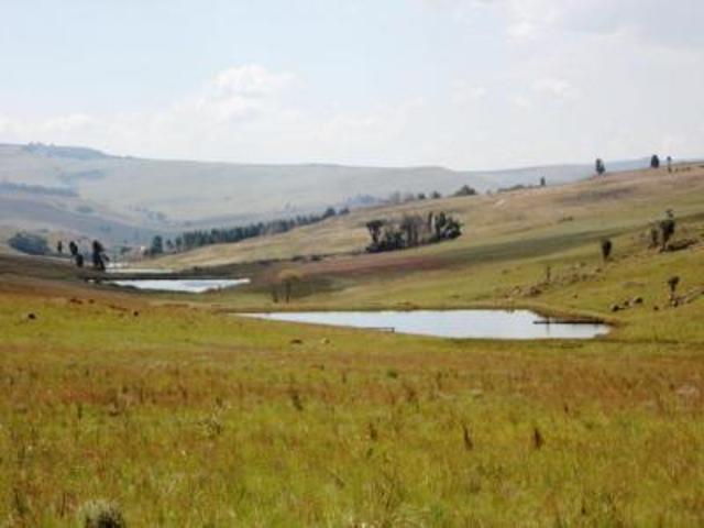 Land for sale in Dullstroom, Mpumalanga