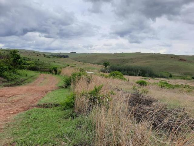 Land for sale in Dullstroom, Mpumalanga