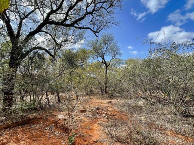 Land for sale in Mopani, Limpopo