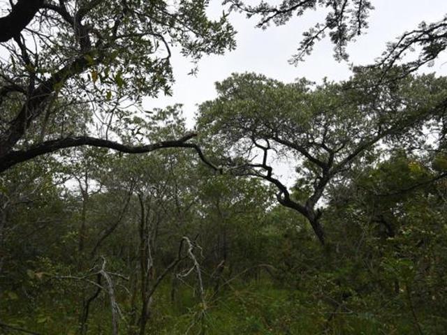 Land for sale in Mopani, Limpopo