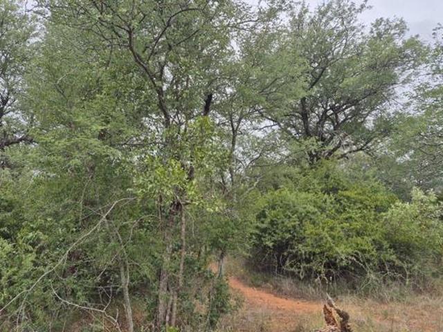 Land for sale in Mopani, Limpopo