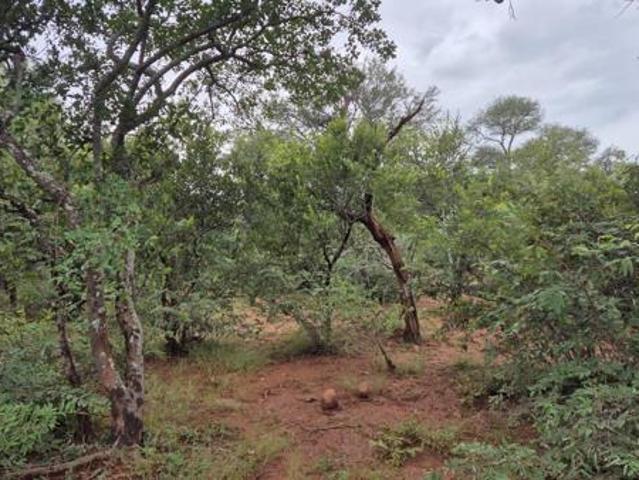 Land for sale in Mopani, Limpopo
