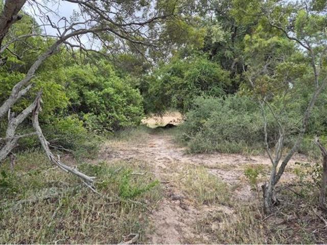 Land for sale in Mopani, Limpopo