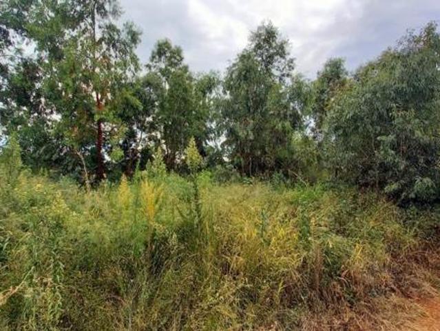 Land for sale in Midvaal, Gauteng