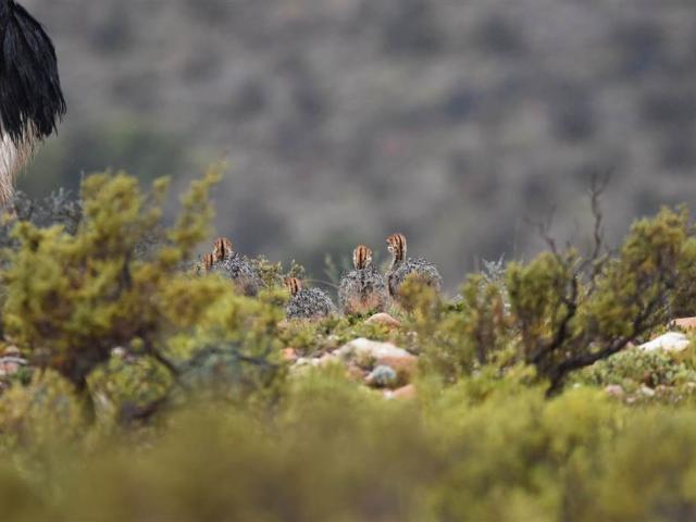 Land for sale in Groot Brak Rivier, Western Cape