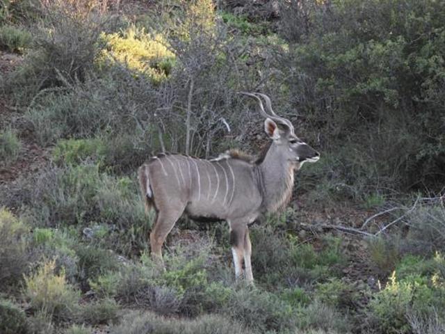 Land for sale in Groot Brak Rivier, Western Cape
