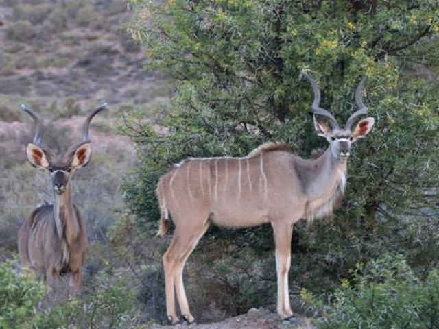 Land for sale in Groot Brak Rivier, Western Cape