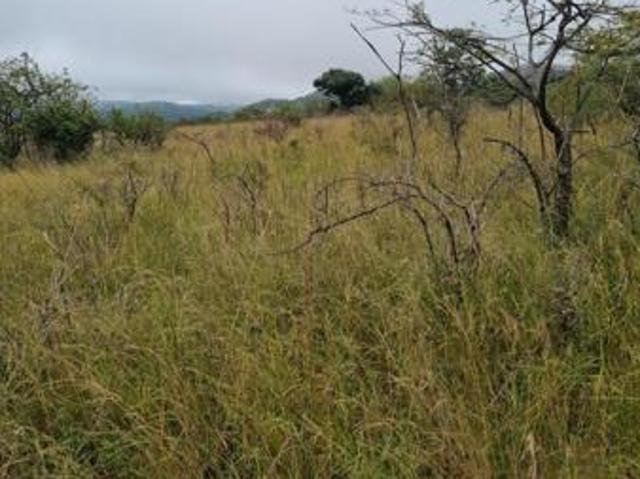 Land for sale in Ehlanzeni, Mpumalanga