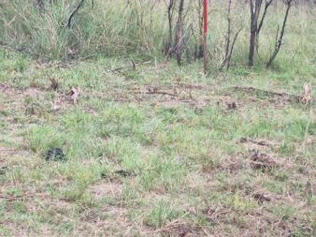Land for sale in Ehlanzeni, Mpumalanga